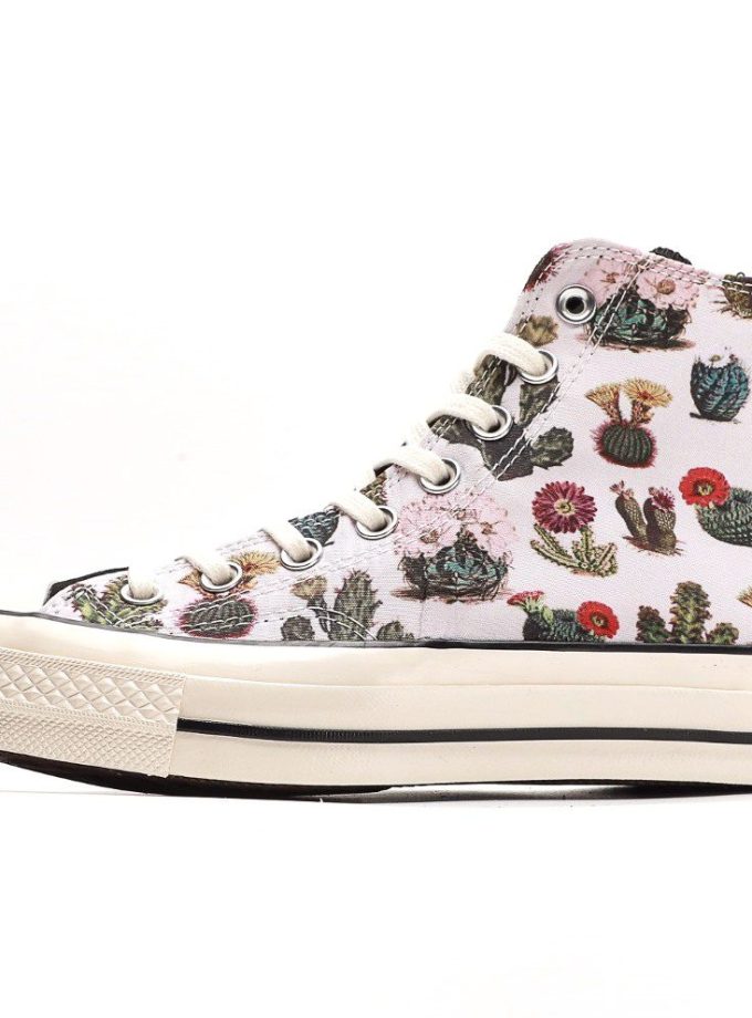 Chuck 70 Succulents