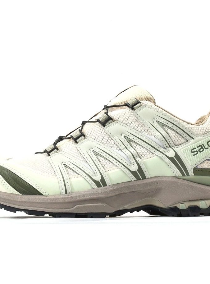 Salomon XA PRO 3D GTX Gray Green