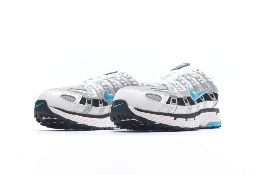 P-6000 "Dusty Cactus" - Image 5